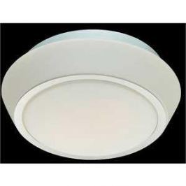 Потолочный светильник ST-Luce SL496.502.03
