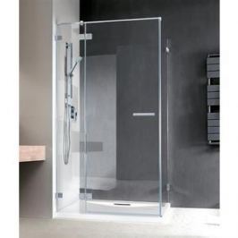 Душевая дверь Radaway Euphoria KDJ /L 90x200 (383044-01L) стекло прозрачное