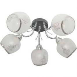 Потолочная люстра Toplight TL7410X-05BC