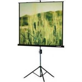 Экран Lumien Master View LMV-100103