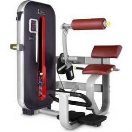 Разгибание спины Bronze Gym MT-009 C