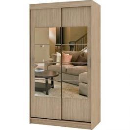 Шкаф купе БАРОНС ГРУПП Риф-2 зеркало вариант 3 250x80х60