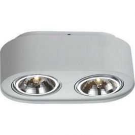 Потолочный светильник Artelamp A5643PL-2WH