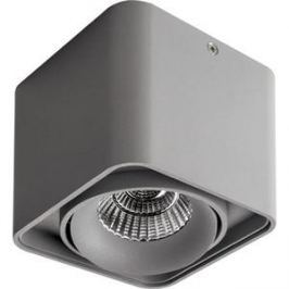Потолочный светильник Lightstar 212519