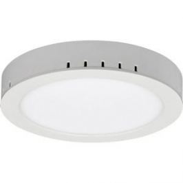 Потолочный светильник Elektrostandard 4690389084560